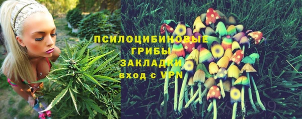 гашик Алзамай
