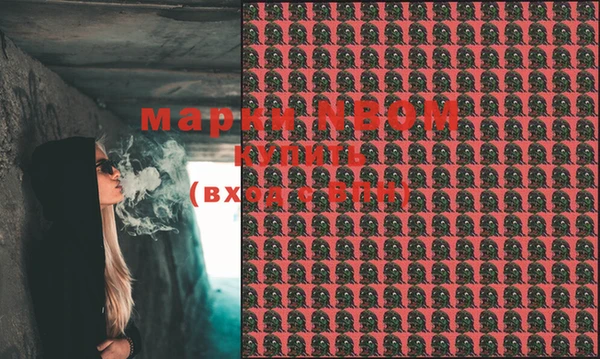 стаф Ветлуга