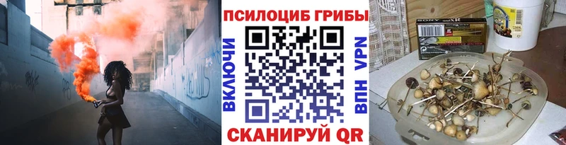 Галлюциногенные грибы Psilocybe  магазин    Оленегорск 
